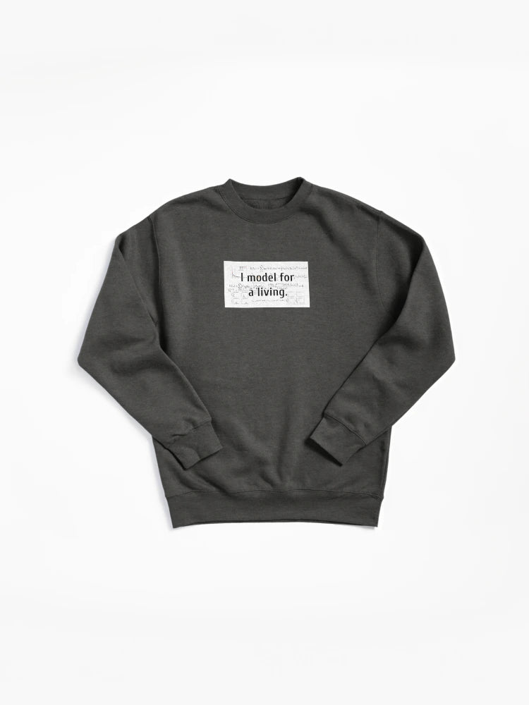 Professional Data Model For A Living Pullover Sweatshirt - Math Pun
