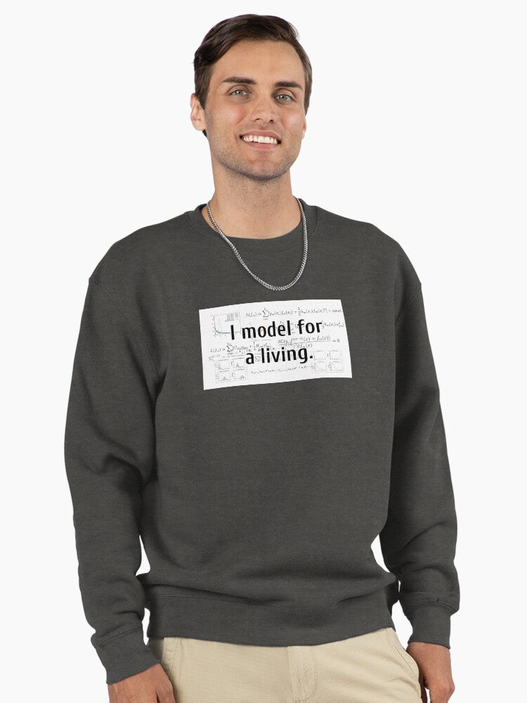 Professional Data Model For A Living Pullover Sweatshirt - Math Pun Charcoal Heather