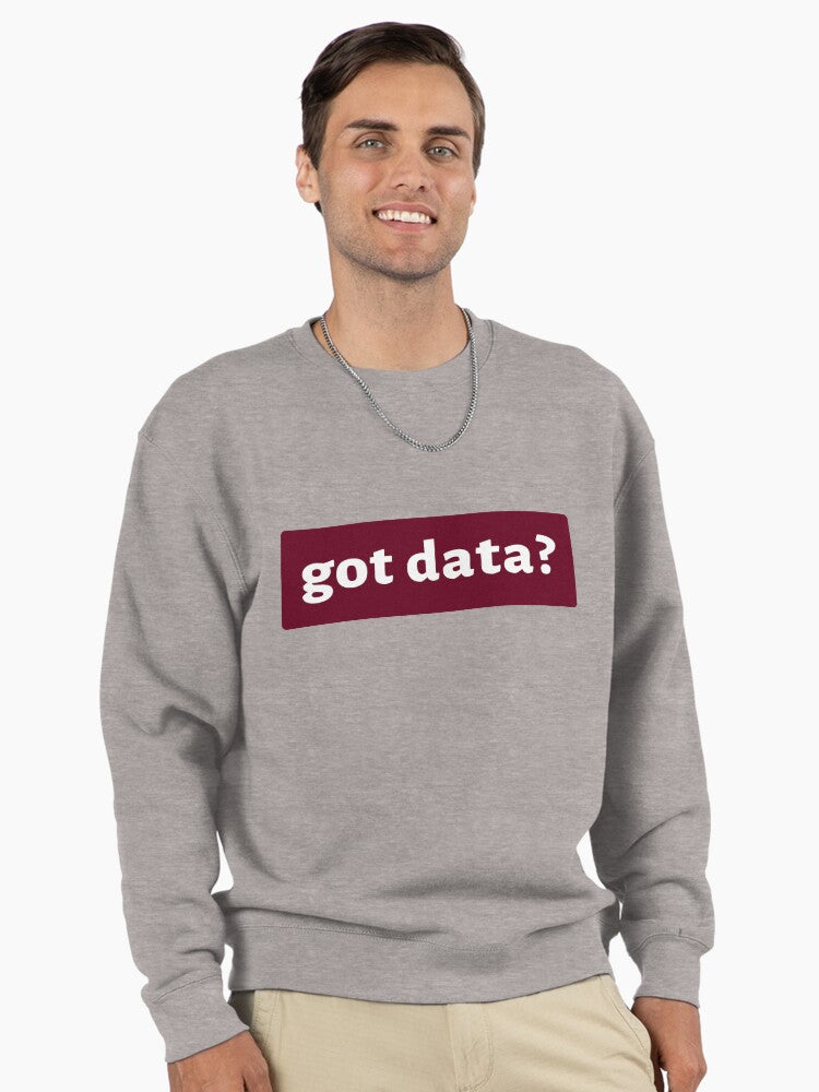 Got Data? Sweatshirt: Essential Data Science Analyst Apparel Heather Grey